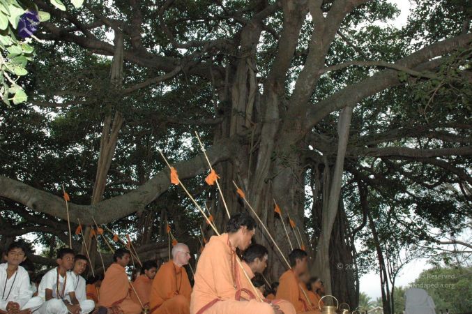 20061006 Photo 1047 1fFmAhKB0OzXZ-J-iVWm6OBWUgBWMdMrT.JPG