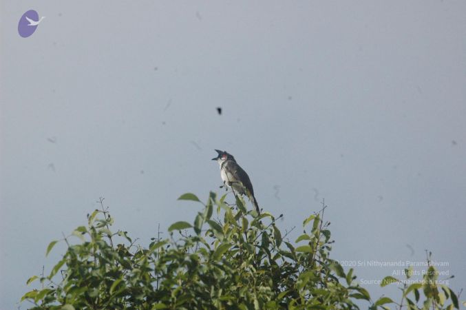 20061006 Photo 1048 166ssJ0SNNUE1n4fF-9PKtXa9rsl6JU2O.JPG