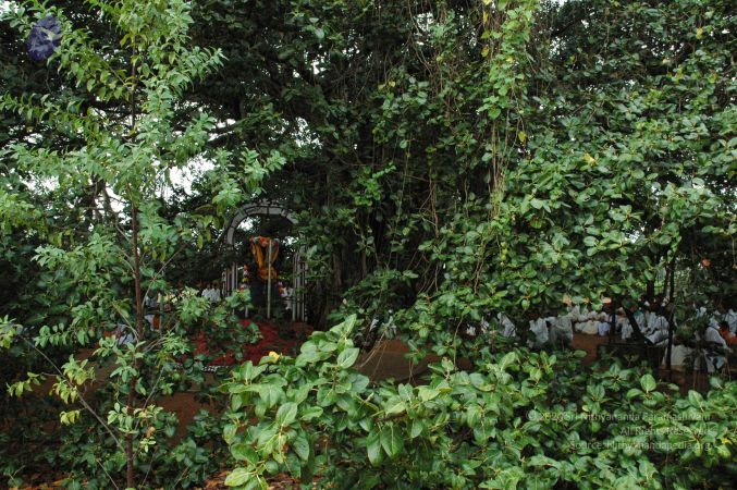 20061006 Photo 1261 1hMFAh1-Aw-jYkJmc1DHGkkAcxT D~RE.JPG