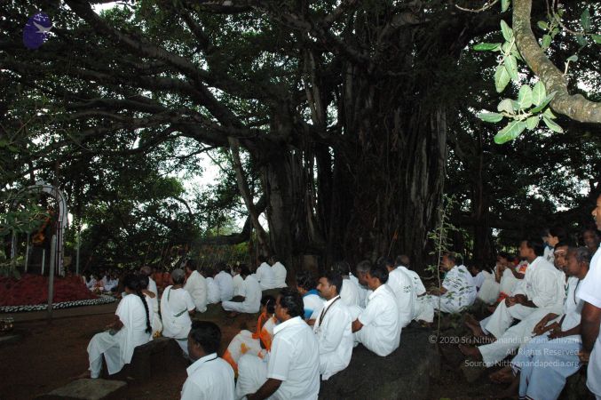 20061006 Photo 1264 1zzg92Mo3NYzihVSy0R-PTv0q6TnuZDKI.JPG