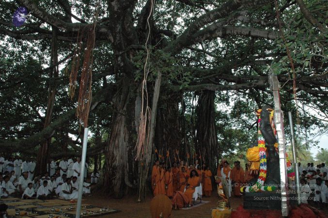 20061006 Photo 1281 1YtRSkmMMgzpn1XmYhrPgLzpdKKXho2C6.JPG