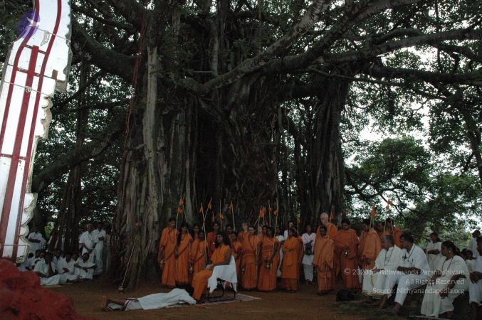 20061006 Photo 1282 1TOd8j xnURs1Lh8BJ315mwmG YxrxJAB.JPG