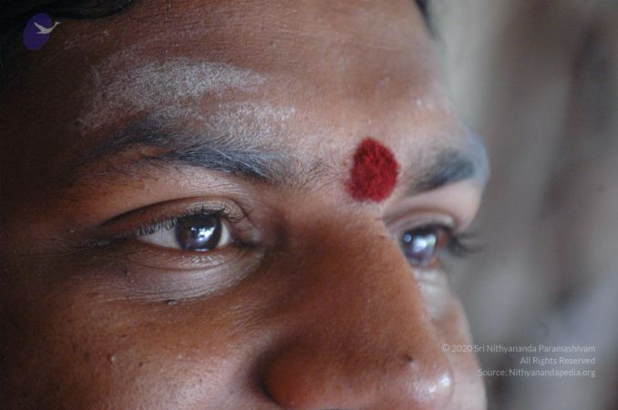 20061007 Photo 1123 1rT7o6-HT5ltHpUfovlDFCpUuk1We6-Hy.JPG