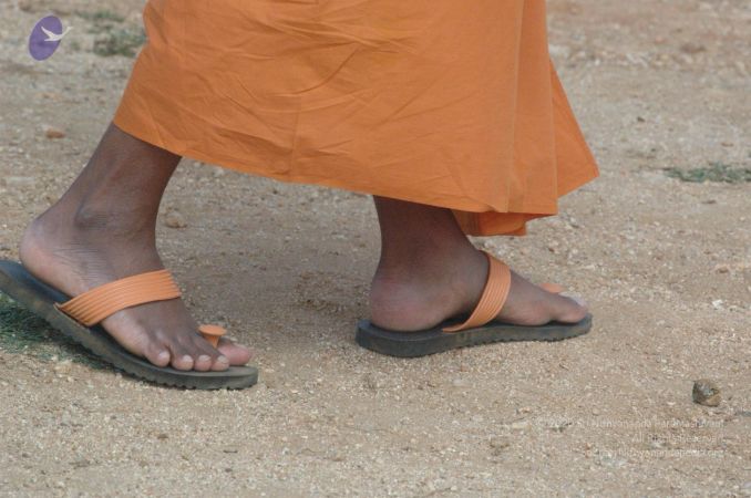 20061007 Photo 1174 1B5woQ6EPl0yUg71owmB7ZtzQhGBCdeJ1.JPG