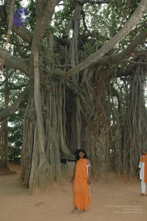 20061007 Photo 1435 1XxVyZUusuy1bl1a imjwL-cUCSs7H8SZ.JPG