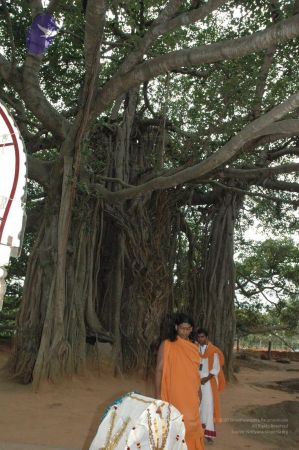 20061007 Photo 1436 11sAIDOjzHOGN0PD2d2iQpL9x41BcOsdF.JPG