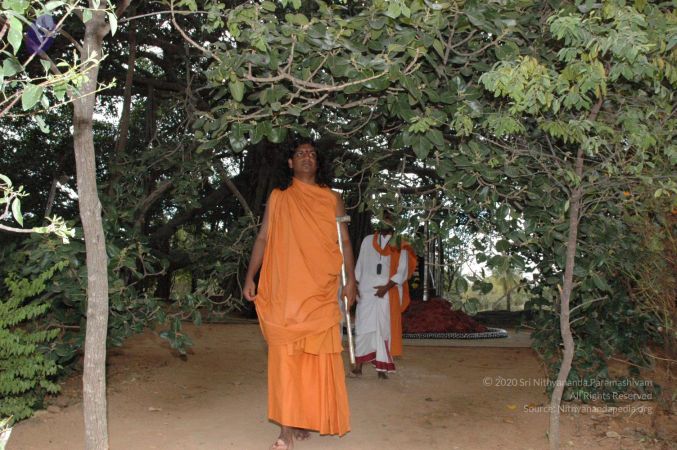 20061007 Photo 1441 1yuJytOLxD65NqSCpHFhjwZD3-qnh3hqx.JPG