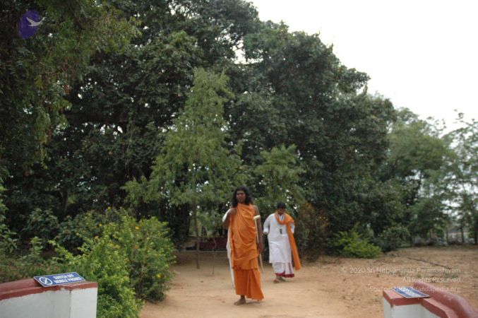 20061007 Photo 1442 16gqXcdku1aLr3FCpVXdeOovTIQU81nwk.JPG