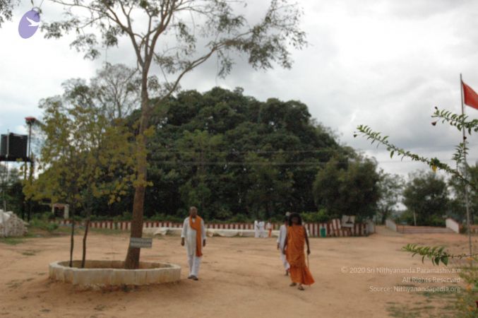 20061007 Photo 1451 1cquI8Yci5n4ohGR5bQJuR8YyJbmFYHPL.JPG