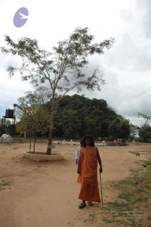 20061007 Photo 1454 1sjH5k48u zgJb nHVs9UFW48lUZ58yiD.JPG