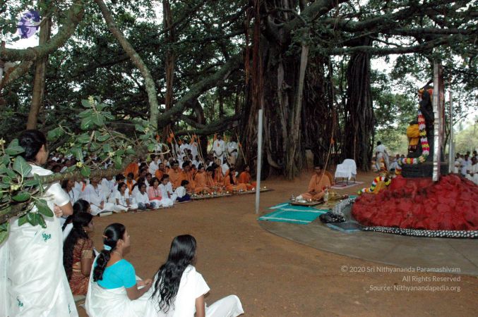 20061008 DSC 0085 CMP WM 0011.jpg