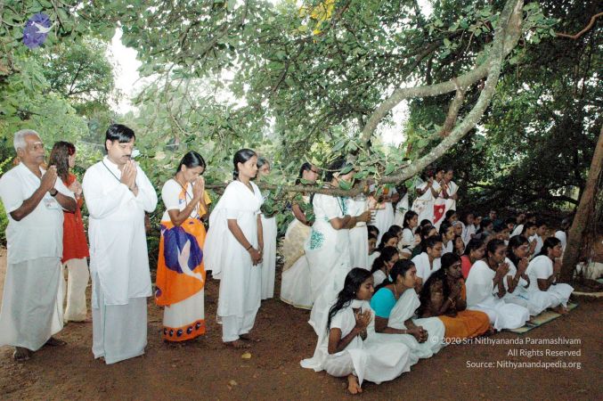 20061008 DSC 0133 CMP WM 0011.jpg