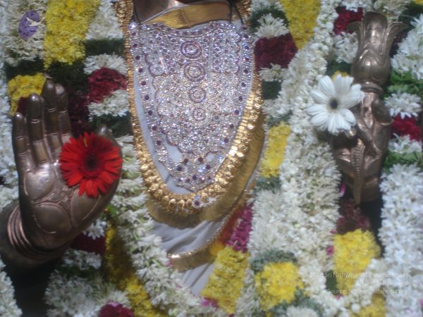 20061010 Photo 1102 1oTcyndTOv3PjhhSsoFgQwLJrWs Xv0kN.JPG