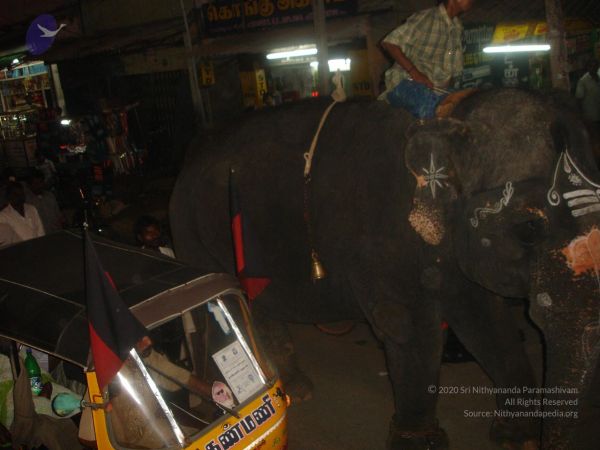 20061010 Photo 1146 1Kmj6KYaBWEQGKb96VbTTZZiAfmgNm19L.JPG