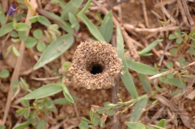 20061011 Photo 1001 1i2JPotY3SV8T12AJNyidAtAU7HVlyB0k.JPG