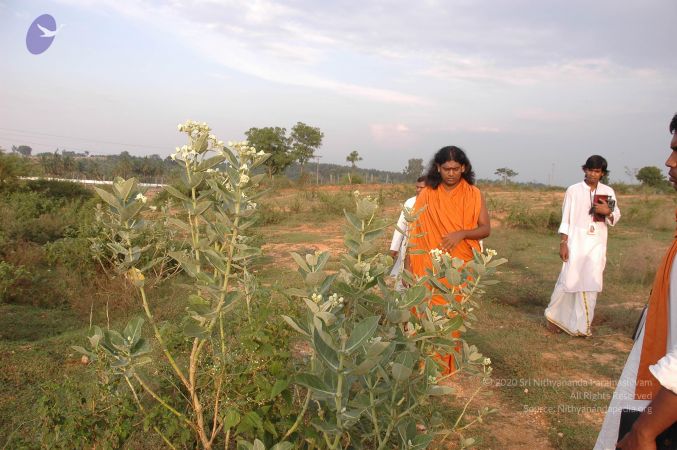 20061011 Photo 1033 1vPqADNWB4qAf0DnzLKjr zL3WKHynYSp.JPG