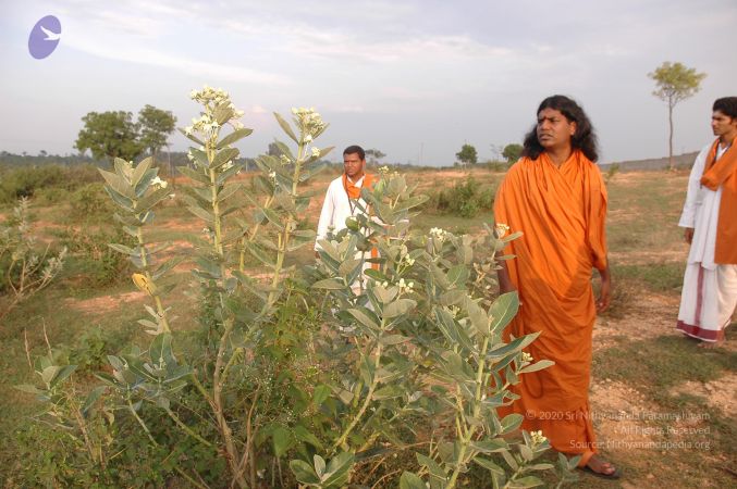 20061011 Photo 1034 1J-cKZeP5vxhZ3UK8nNOMkMSgzPXbq0xI.JPG