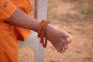 20061011 Photo 1096 1BCBmCiOuHyvEwO5QOnh4fqoOpvpTdA3k.JPG