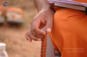 20061011 Photo 1100 1NbP6GWcN VIUKXSyPSzF1vN y2gJQeUb.JPG