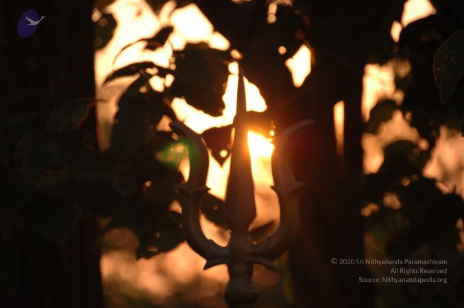 20061011 Photo 1111 1E4ZUXrCMRejSglxiftxYHJkjmy8AuS7v.JPG