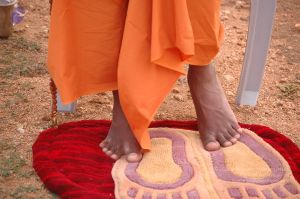 20061011 Photo 1120 1L7PpDTSchNPLzjs-RrmAk4Cf52BYrG04.JPG