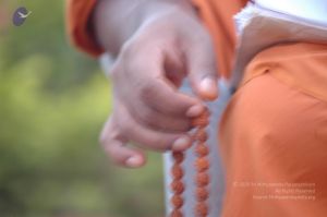 20061011 Photo 1127 1tgS8ifKpKWNmE2CHx-JgflrRC8WwQvC0.JPG