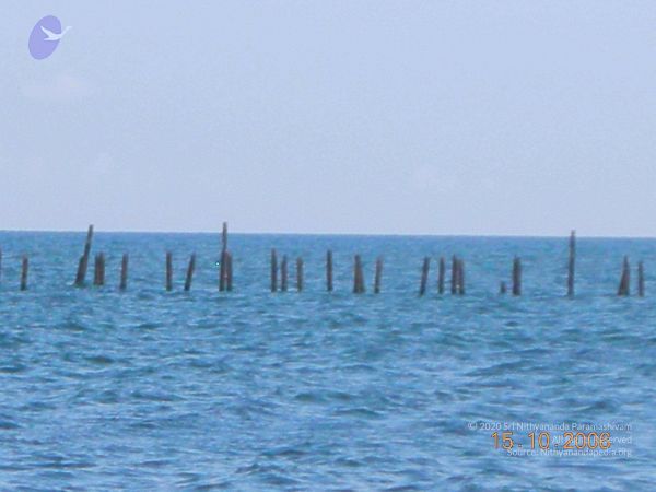 20061015 Photo 20 14UljqUlqUWCnnCKj5YAo3vjCPgMxua1l.jpg