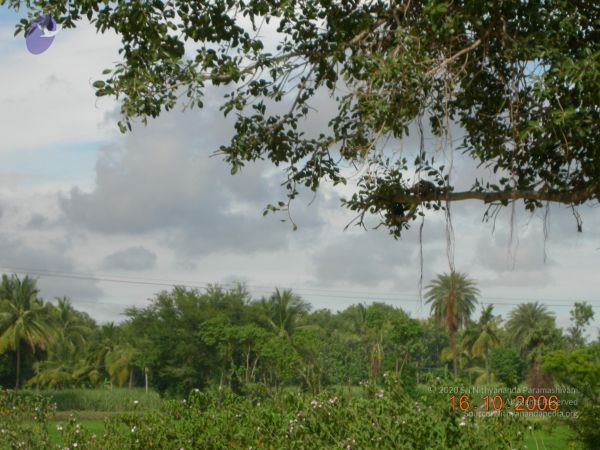 20061016 Photo 1044 17R 9o1cctCzDQnbS3UgIFXa6VA4i4jxB.JPG