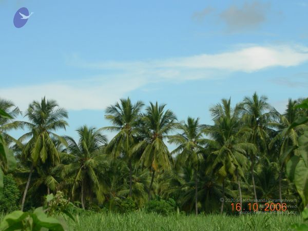 20061016 Photo 1046 1cFFVwqIU-iRjjHR7mVmzvrJlvqLSbesV.JPG