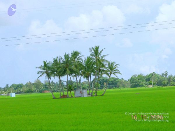 20061016 Photo 12 1MbVKn941g8Ul-skaJ15Bl7NpPZx6oqz7.jpg