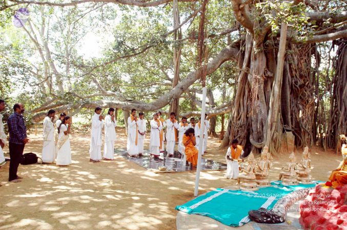 20061019 DSC 5429 CMP WM01.jpg