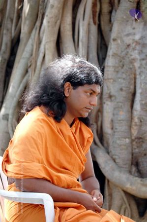 20061019 DSC 5459 CMP WM01.jpg