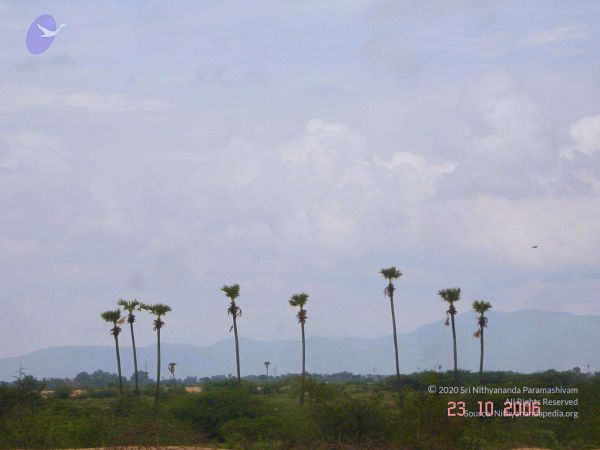 20061023 Photo 37 1HjDEQEVp9UNFwRZAa9MC9XE3YRloLxUV.jpg