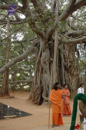 20061025 Photo 31 1ywKwanhfcRSjZ5-o1fCNkerH4kg XEvL.jpg