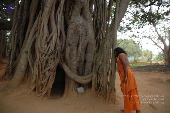 20061025 Photo 44 1kEpVqNZmxcqIQC9sie7Q6y9q0iK6HPeA.jpg