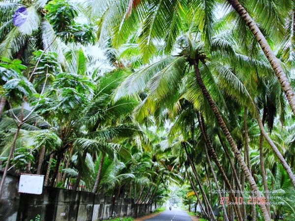 20061026th-27th Kodikannyatra Photo 149 12svu-9a-CaFlAk1iANrJnyzE0ZDNGJQU.jpg