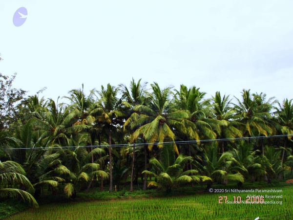 20061026th-27th Kodikannyatra Photo 152 1WEoM2MzNFX5cVtHOVsAIiegCQYEIHv-m.jpg