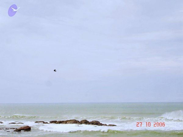 20061026th-27th Kodikannyatra Photo 194 1nyggNZftI3LPdfEXzp3h5DUuQ4fzj3Yr.jpg