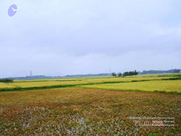 20061026th-27th Kodikannyatra Photo 88 1ZlH0uJkv7Atj6YgB0DexrxFkfBc7p kq.jpg