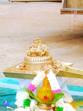 200610 Kodikannyatra Photo 43 1W2cRHaxVvr-svSHrJugqA5OWPWS kNhc.jpg