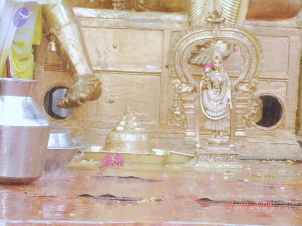 200610 Manappari KodikannYatra Photo 116 1F9gk7jzknQ3igOarZ42DJEJhHk96dVp7.jpg