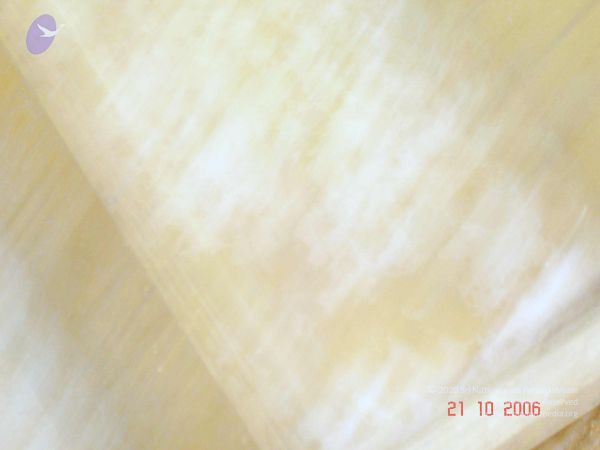 200610 Manappari KodikannYatra Photo 135 1ei0tSqsC5Uq1gssbi I0qK7s OVVn1np.jpg