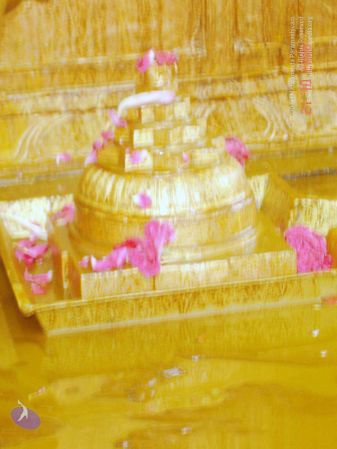 200610 Manappari KodikannYatra Photo 38 1QS1Lelg06z4D5y26TeuMPe6kNXs1 MWM.jpg