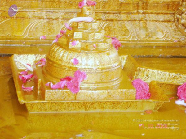 200610 Manappari KodikannYatra Photo 39 1aCNeinmhQjwjtkZx oxmX6NHg1u7PGwV.jpg