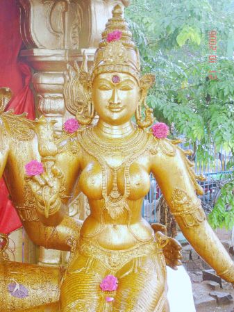 200610 Manappari KodikannYatra Photo 42 1X-PyQQLu-tr9fu0BGArI4ihvlyXqUyDG.jpg