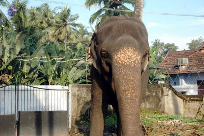 20061109 DSC 0061 CMP WM.jpg