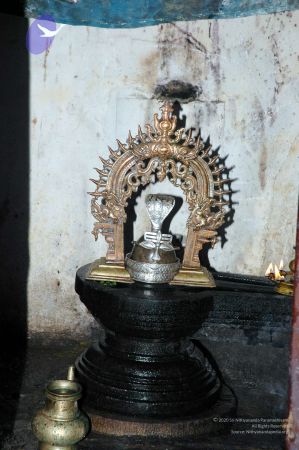 20061109 DSC 9980 CMP WM 33.jpg