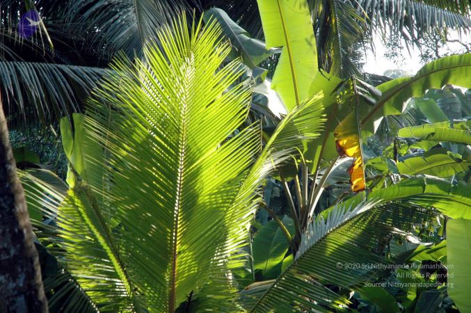 20061109 DSC 9984 CMP WM 33.jpg