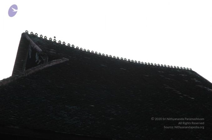 20061109 Photo 1017 17gSK3860QpXch1f txb91gZI2E-NkU10.JPG