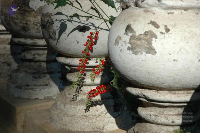 20061109 Photo 1051 1nMyIXbve8P4pHSEK5TF An 4luEHFfmH.JPG